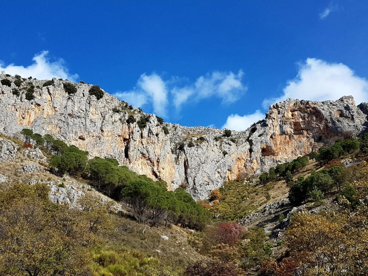 FrascinetoIl Vicoletto住宿加早餐旅馆 外观 照片