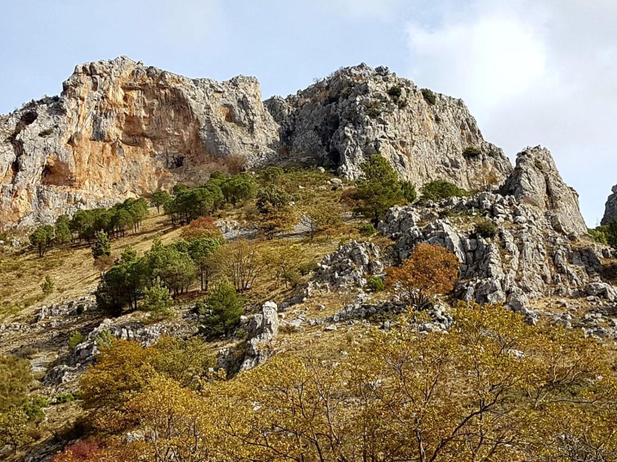 FrascinetoIl Vicoletto住宿加早餐旅馆 外观 照片