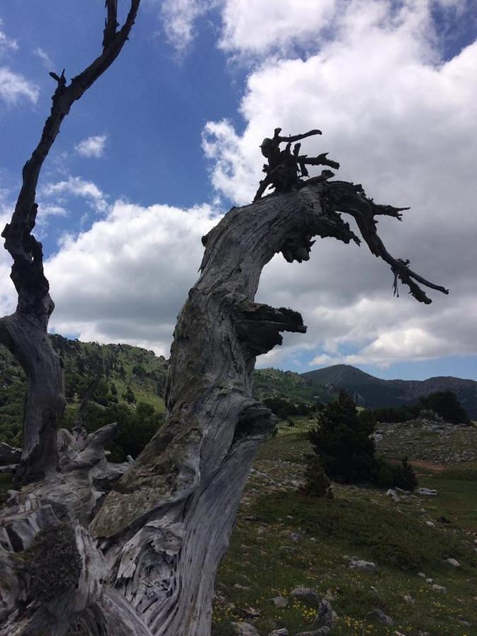 FrascinetoIl Vicoletto住宿加早餐旅馆 外观 照片